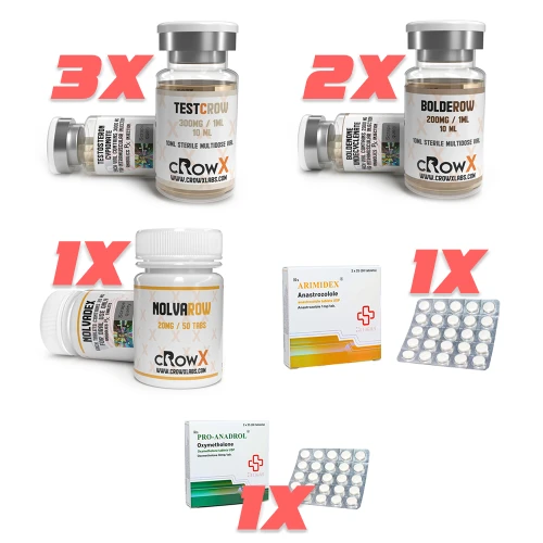 Intermediate Bulking Cycle 1 (12 Week)