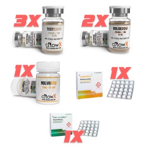 Intermediate Bulking Cycle 1 (12 Week)